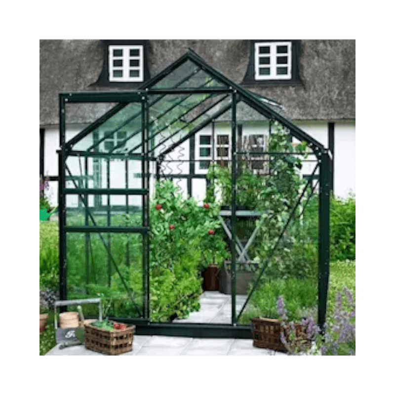 Glasväxthus med svart ram framför hus, fullt med grönsaker och plantor i odling.